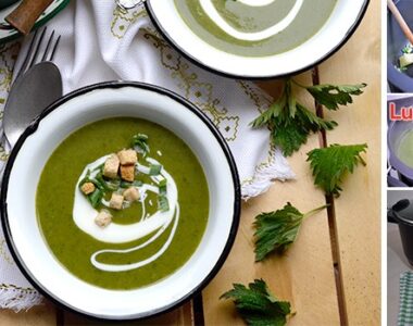 Krem čorba od koprive i sremuša
