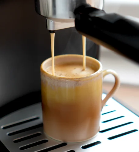 Aparat za espresso LM1349