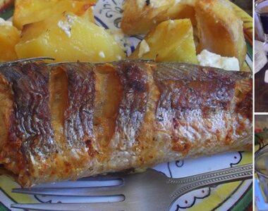 Skuša sa belim lukom (Turbo tornado)